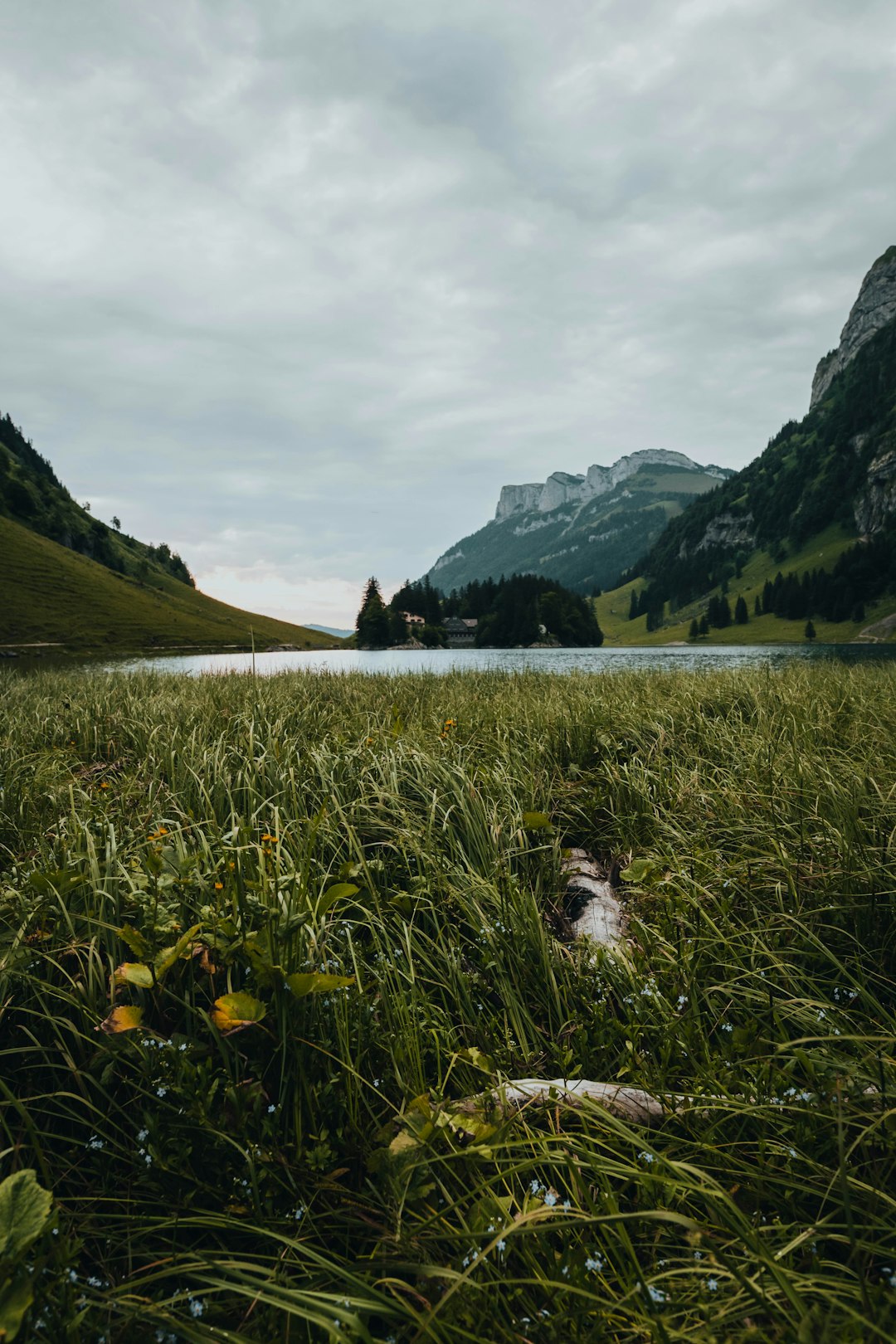 Legal process of selling land in Georgia