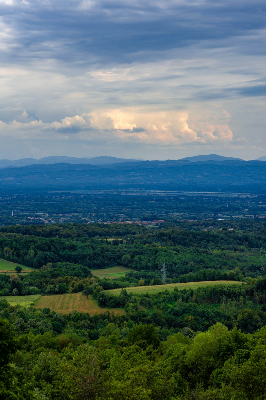 That Buys Land in Georgia for Cash money?