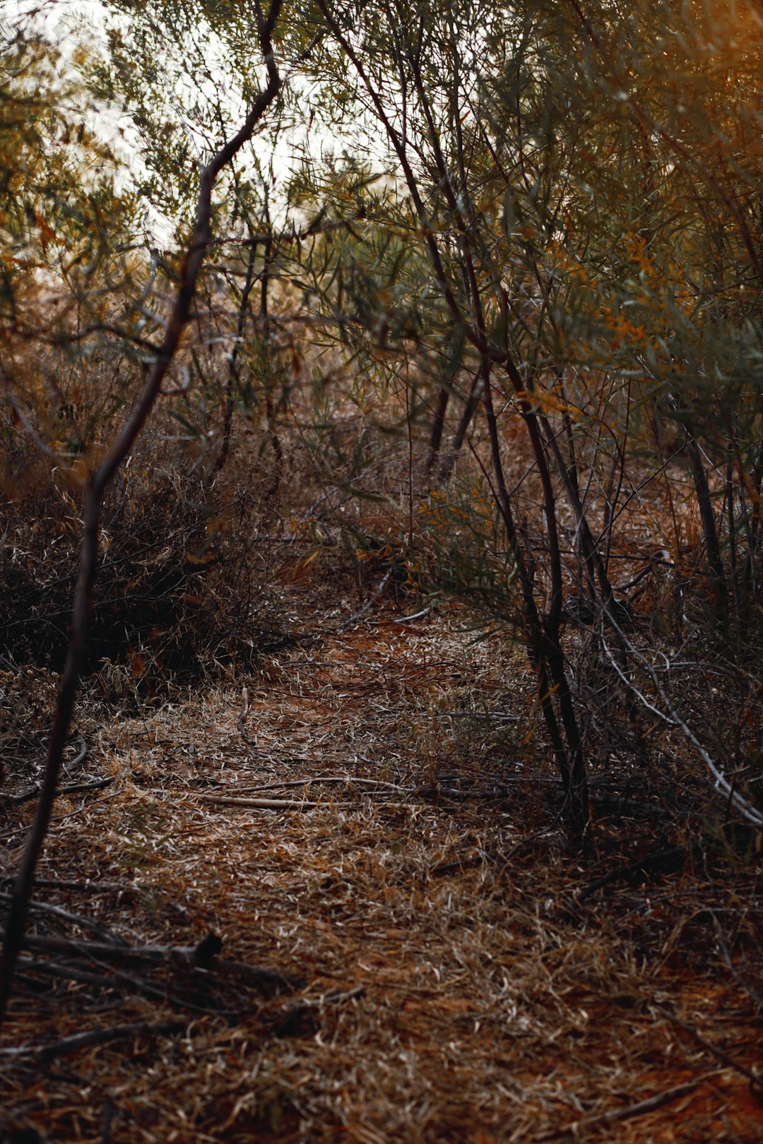 Typical Challenges When Selling Land in Georgia