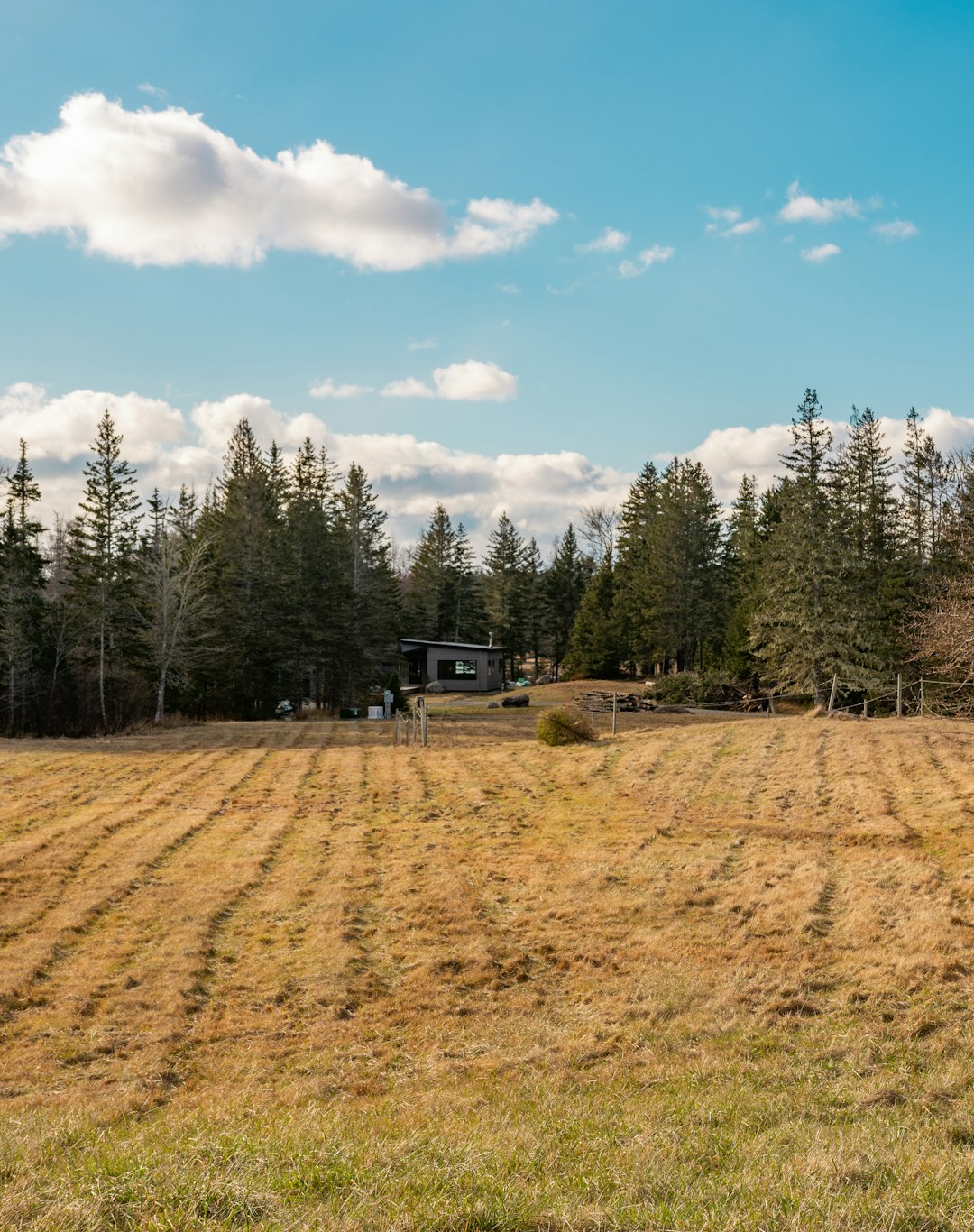 Common Challenges When Offering Land in Georgia