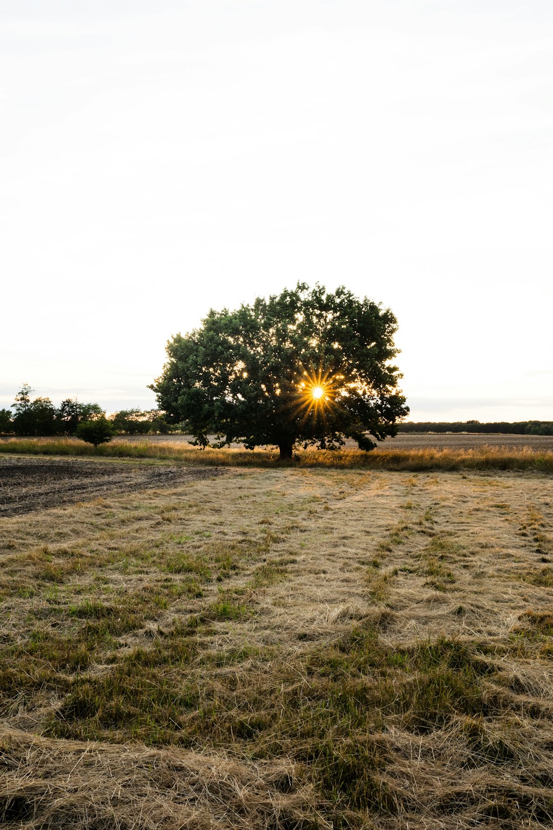 Preparing Your Land for a Quick Sale