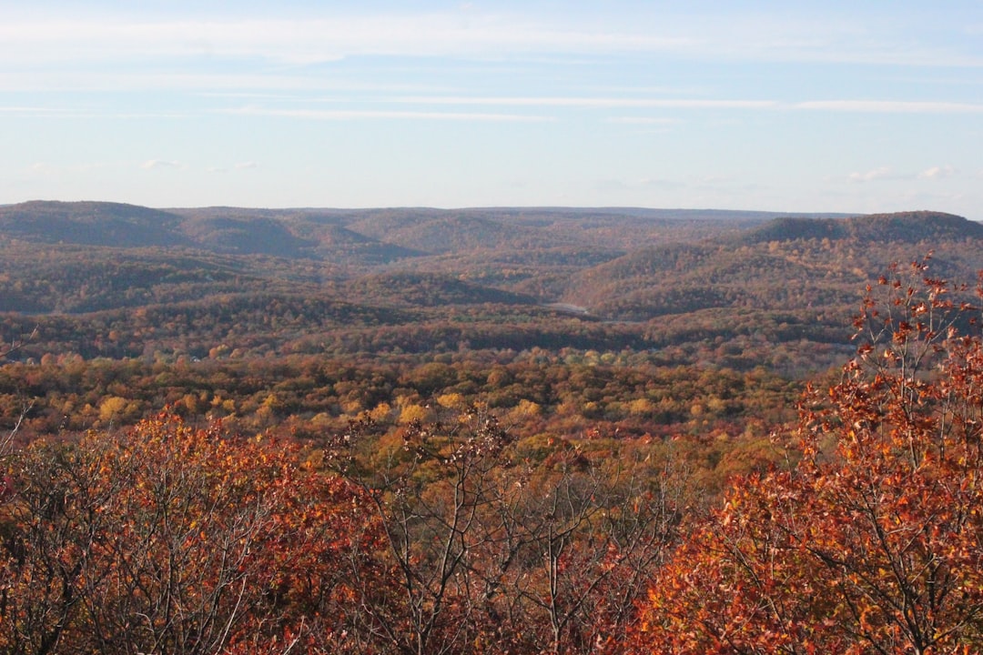 Selling vacant lots in Ohio