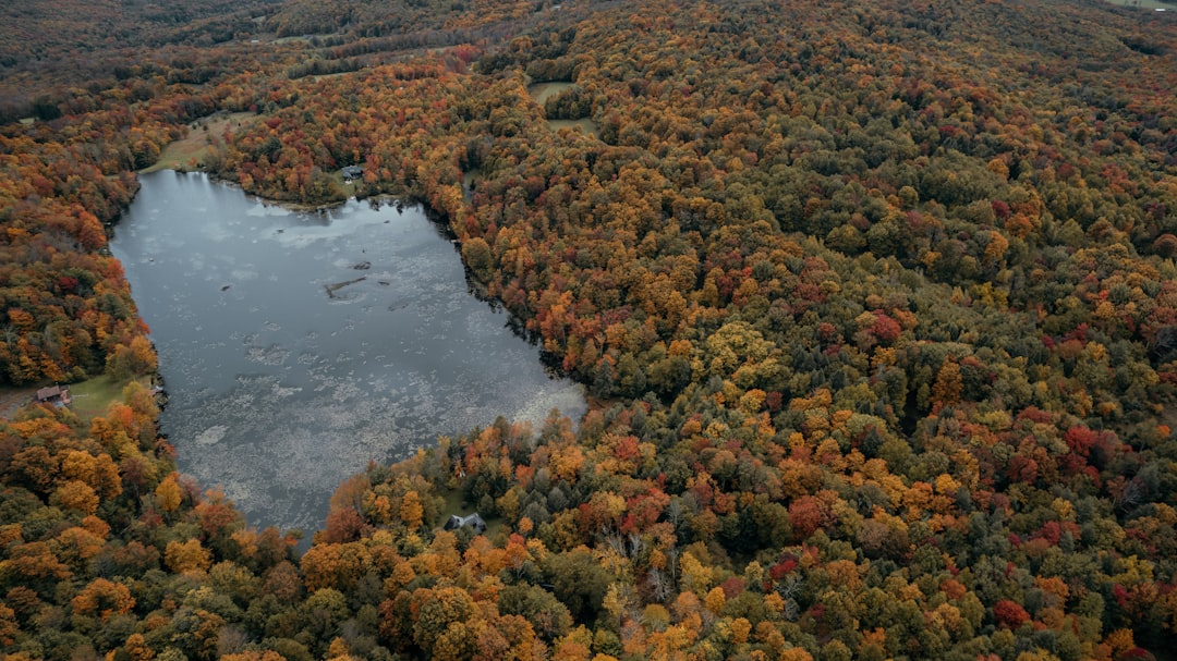 How to Quickly Sell Your Massachusetts Land for Cash