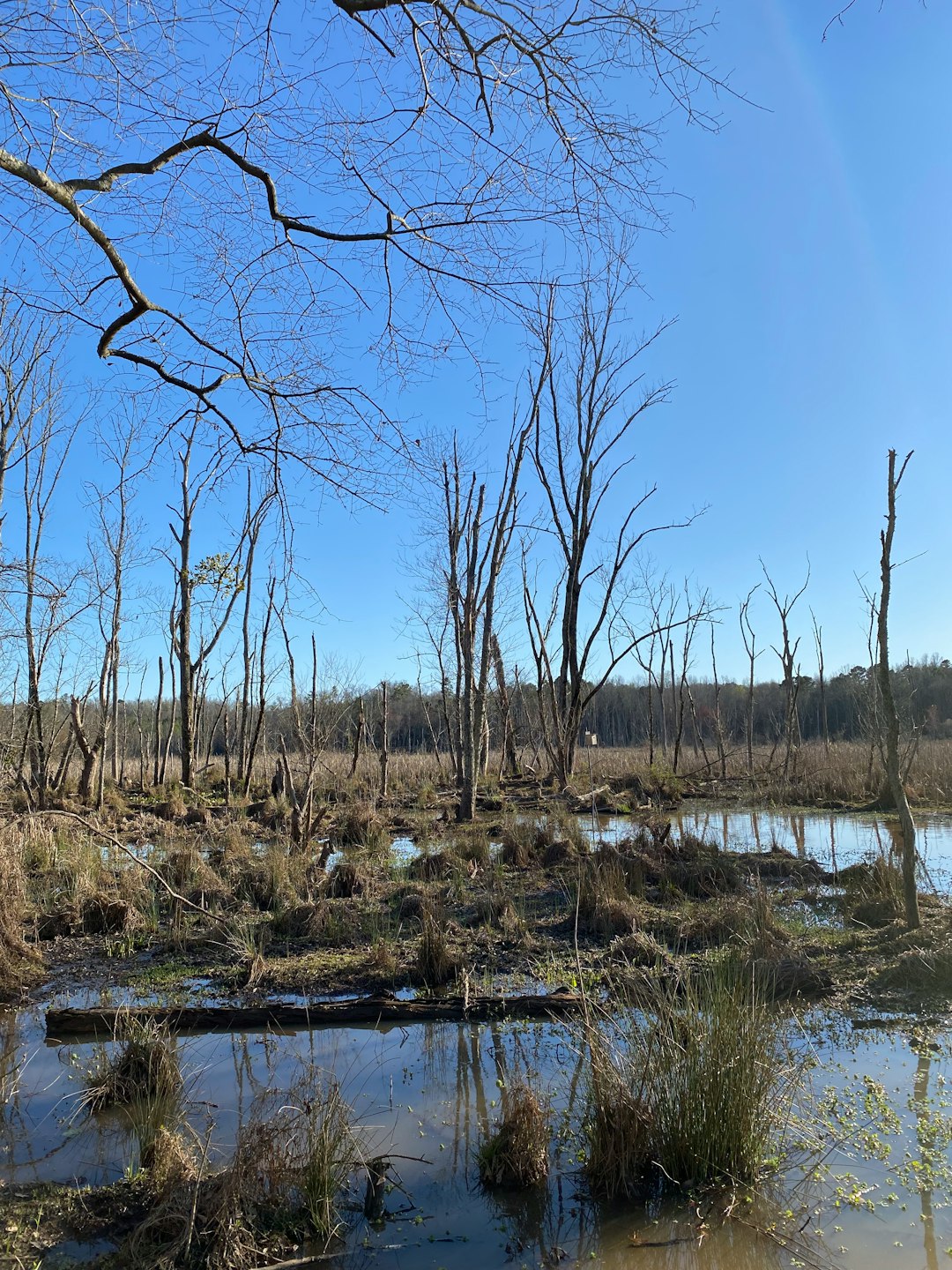 What is the process for selling Massachusetts land for money?