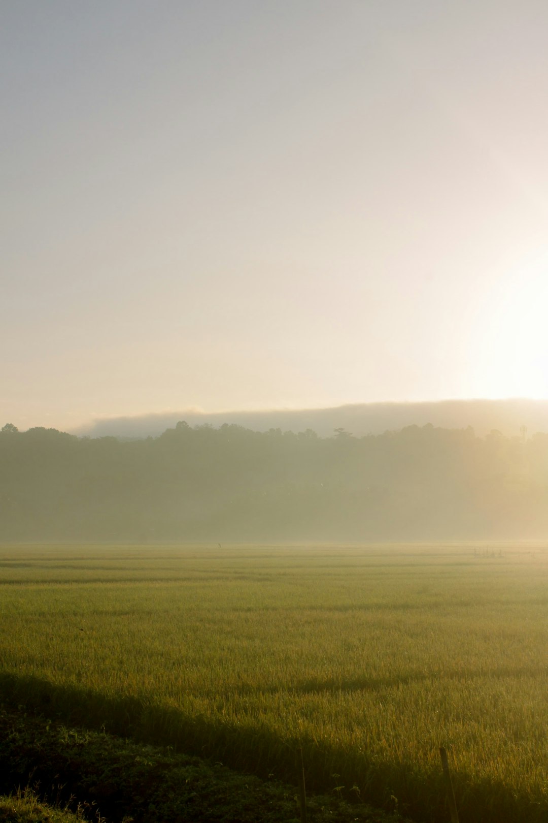 How to Market Your Wisconsin Land Promptly for Cash Money