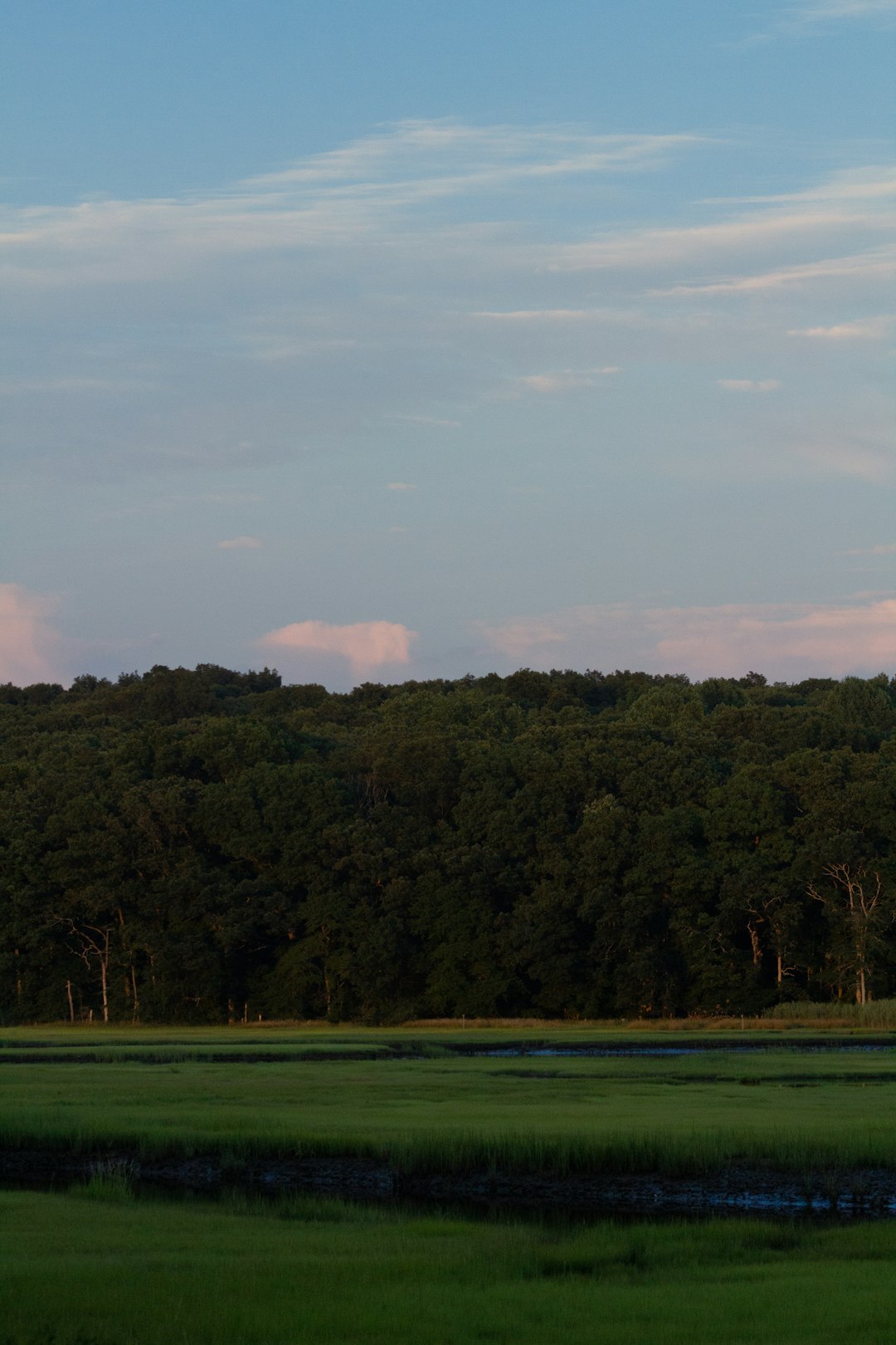 What is the value of Vermont land when selling for cash money?