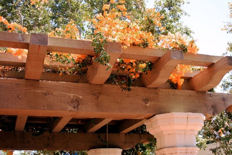 best wood to make a pergola out of