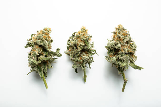 Marijuana Flower Vaporizer