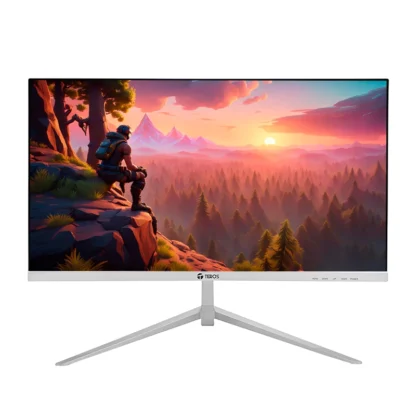 Monitor Teros 21.5" IPS 1920x1080 TE-2124S