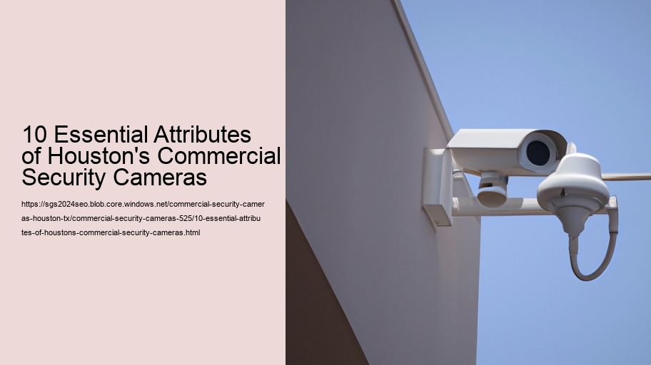10 Essential Attributes of Houston's Commercial Security Cameras