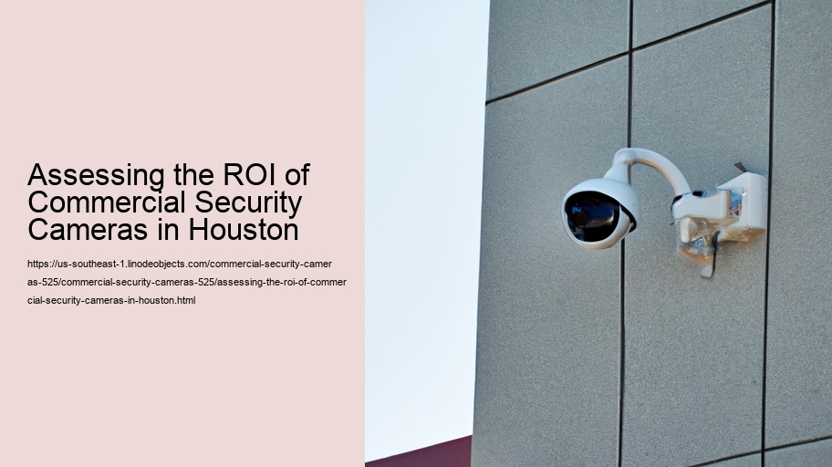 Assessing the ROI of Commercial Security Cameras in Houston