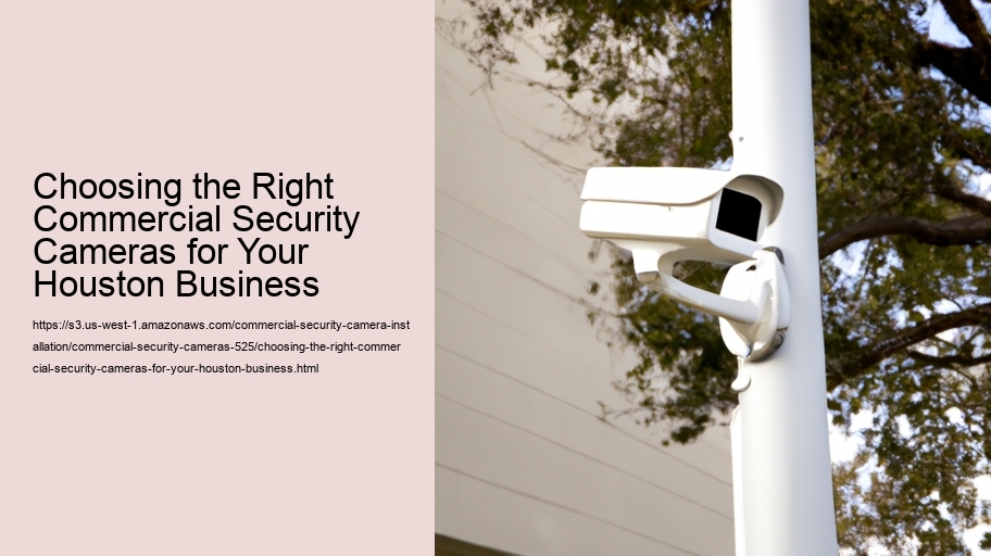 Choosing the Right Commercial Security Cameras for Your Houston Business