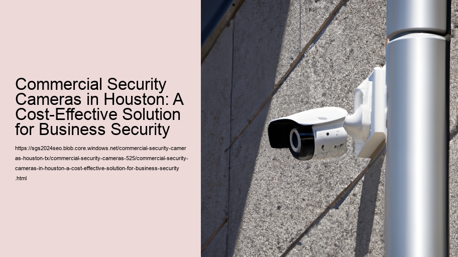 Commercial Security Cameras in Houston: A Cost-Effective Solution for Business Security