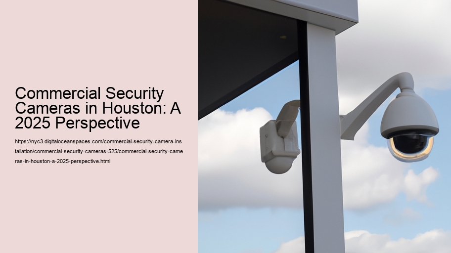 Commercial Security Cameras in Houston: A 2025 Perspective