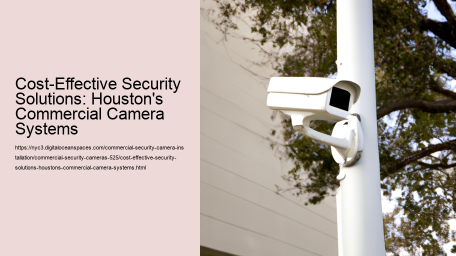 Cost-Effective Security Solutions: Houston's Commercial Camera Systems