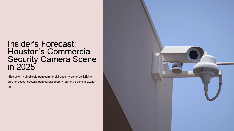 Insider's Forecast: Houston's Commercial Security Camera Scene in 2025