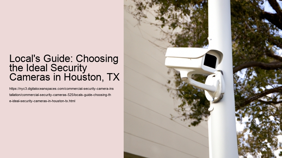 Local's Guide: Choosing the Ideal Security Cameras in Houston, TX