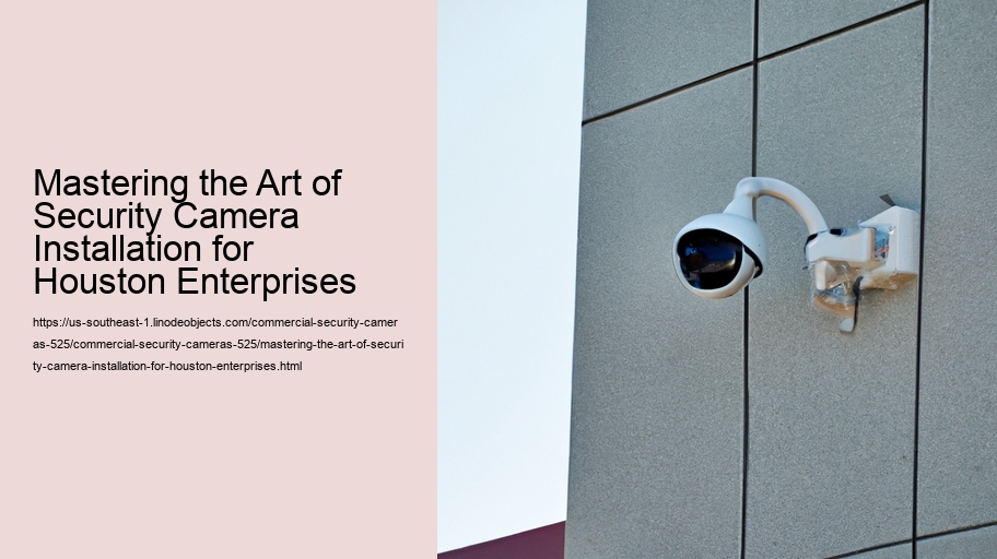 Mastering the Art of Security Camera Installation for Houston Enterprises