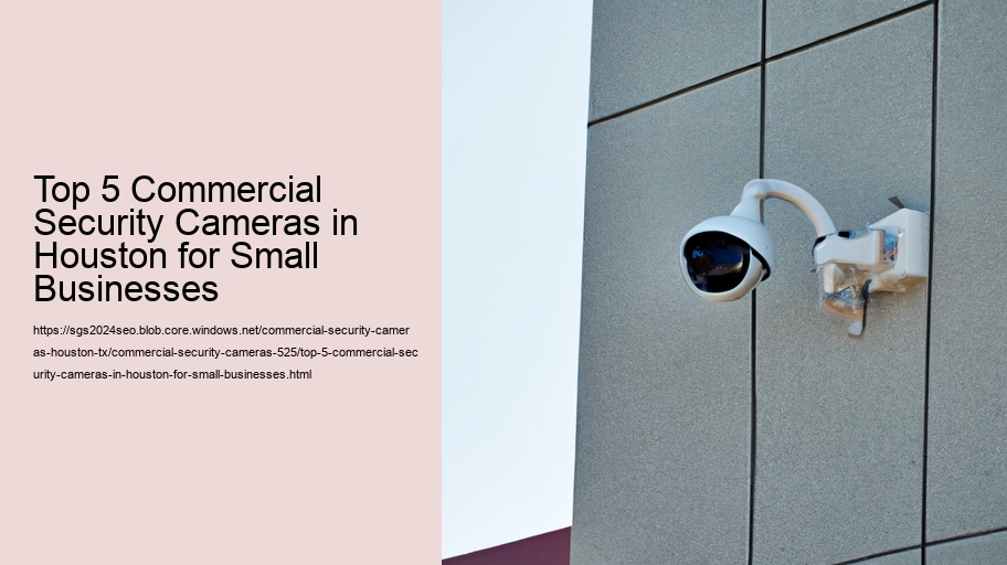 Top 5 Commercial Security Cameras in Houston for Small Businesses