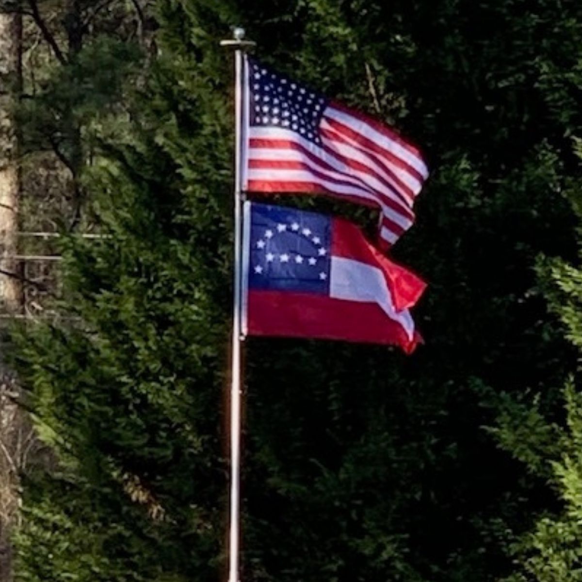 Ultimate Flags - Rebel Flags
