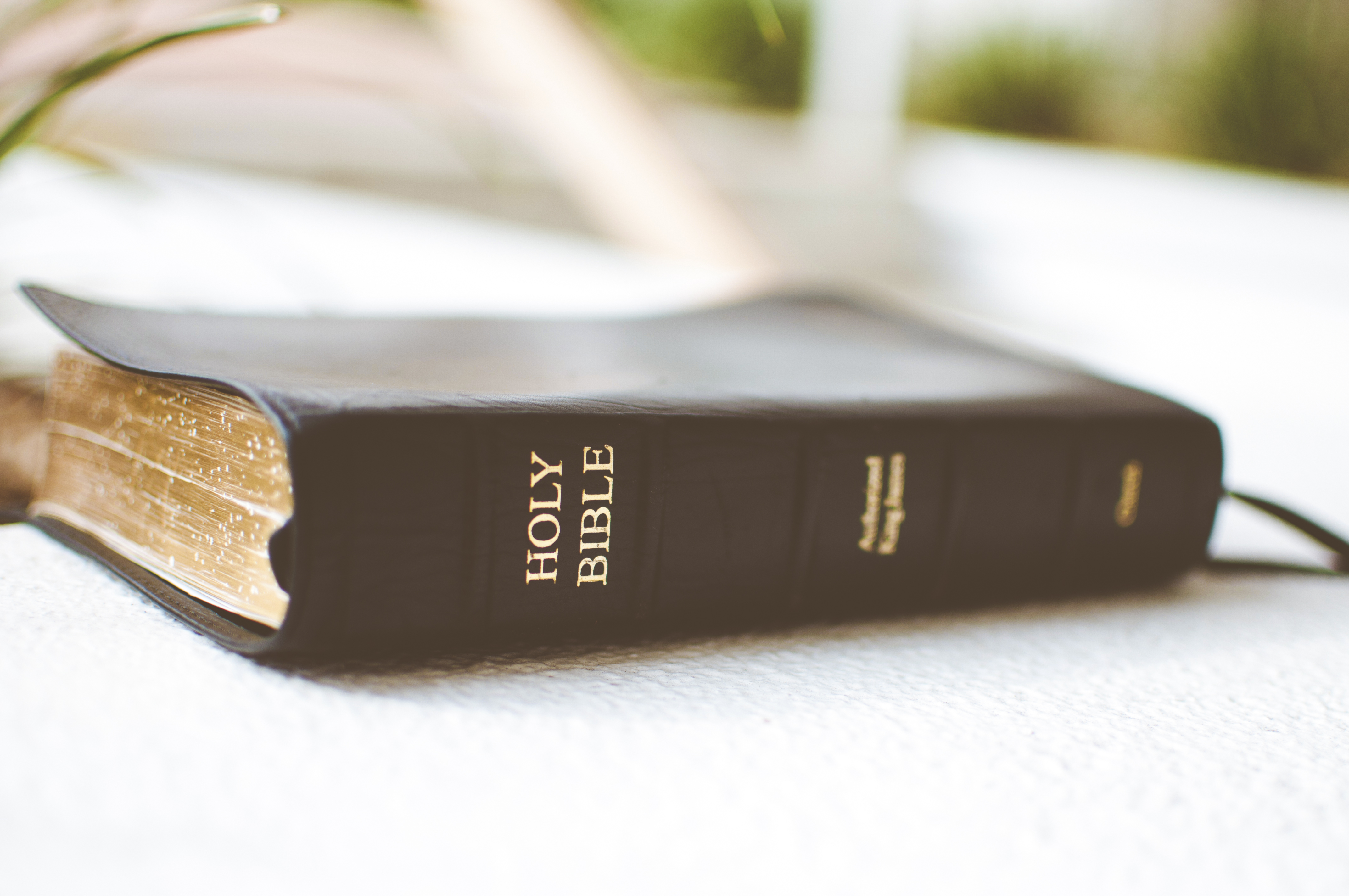 Bible Studies & Spiritual Growth