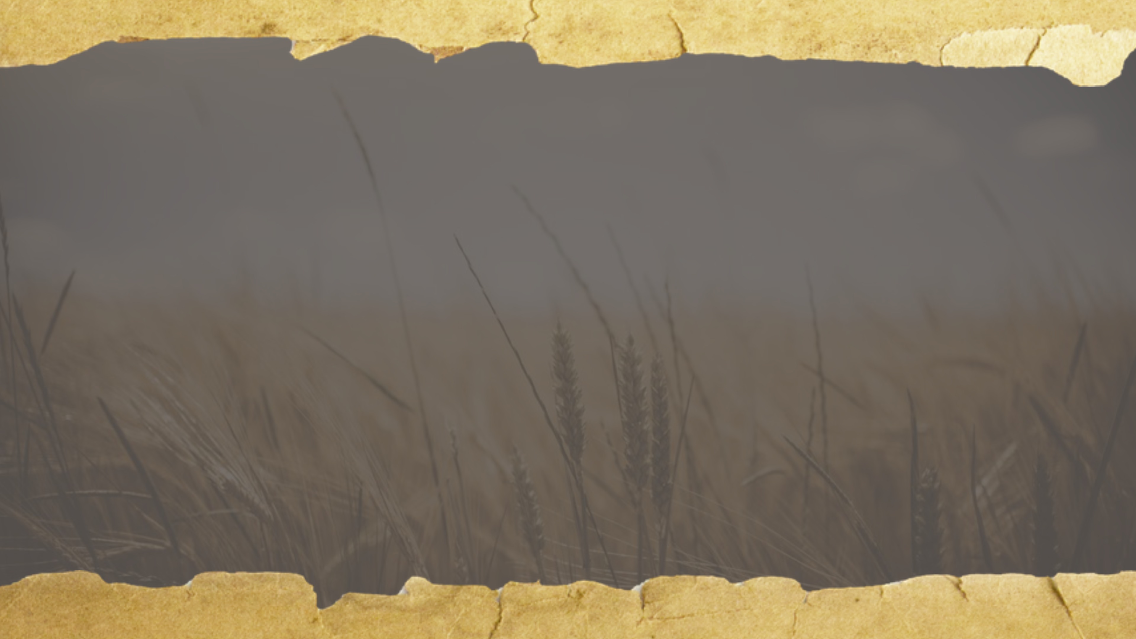 Faith Promise Missions