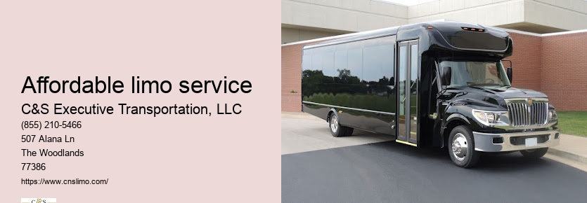 Limousine company