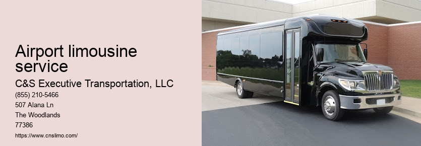 Houston airport limousine service