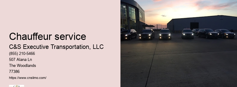 Private black town car service Houston TX