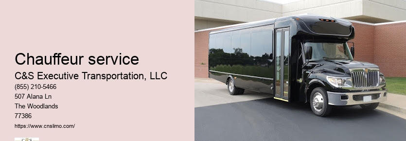 Houston limo service