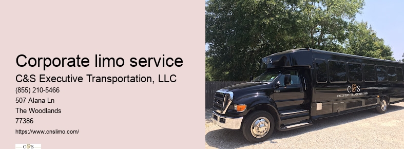 Houston limousine service