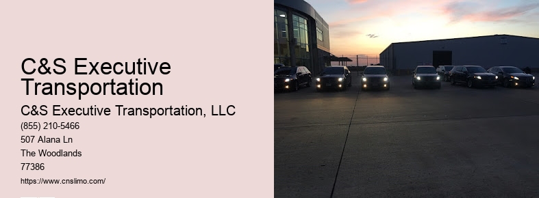 Houston limousine service airport