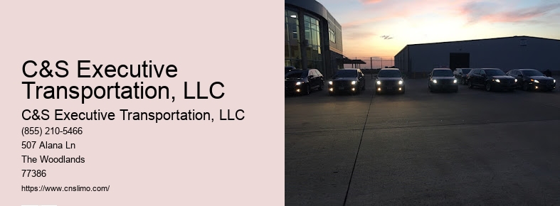 Luxury chauffeur service Houston