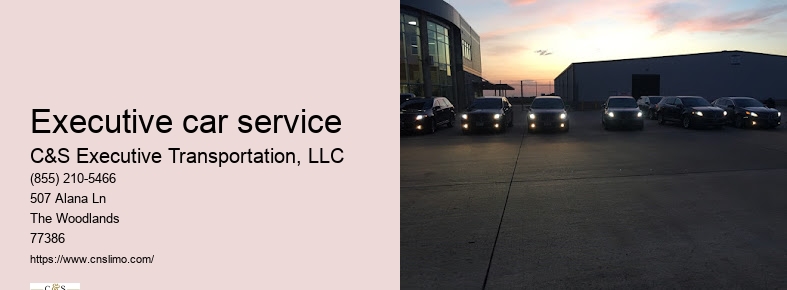 C&S Executive Transportation: CNS Home