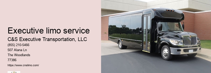 Houston airport limousine service