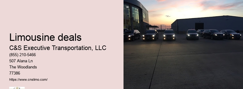 Houston airport taxi and limousine service