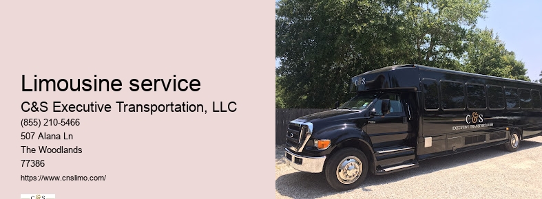 Houston TX black car service