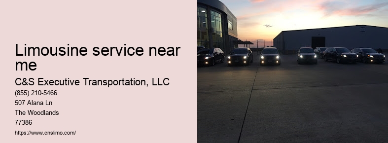 Airport limo service Houston