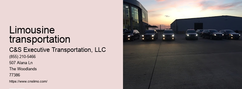 Limo rental Houston prices