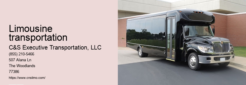 Houston limousine service