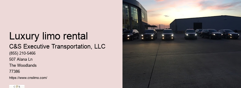 Houston limousine service airport