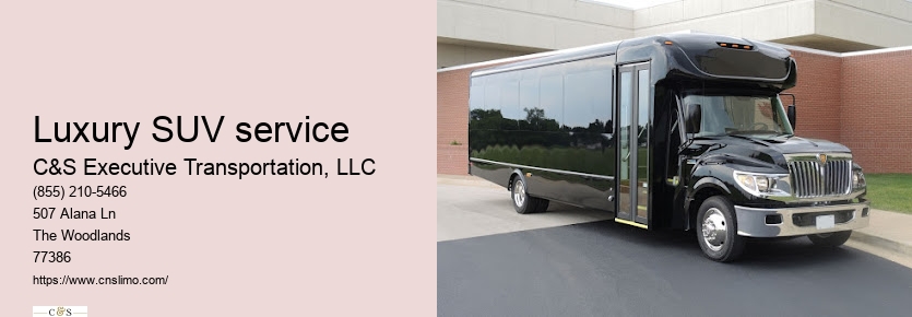 Private black town car service Houston TX