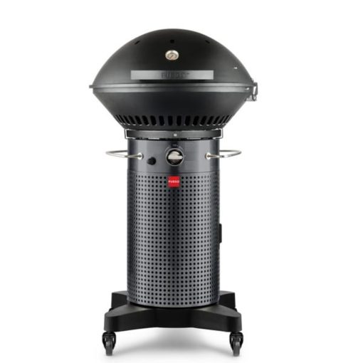 Fuego Professional 24" 2 Burner Propane Gas Grill