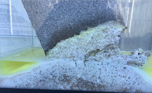 Bullseye Super Quick Concrete Dissolver 55 Gallon - Image 2