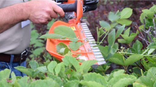 X Series Hedge Trimmer - Image 4