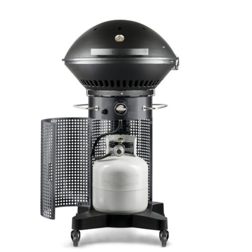 Fuego Professional 24" 2 Burner Propane Gas Grill - Image 2