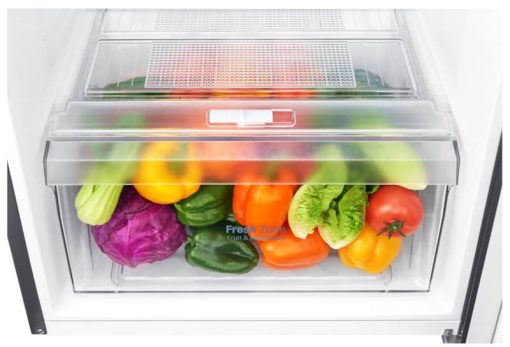 LG 11 Cu. Ft. Stainless Steel Top Freezer Refrigerator - Image 11
