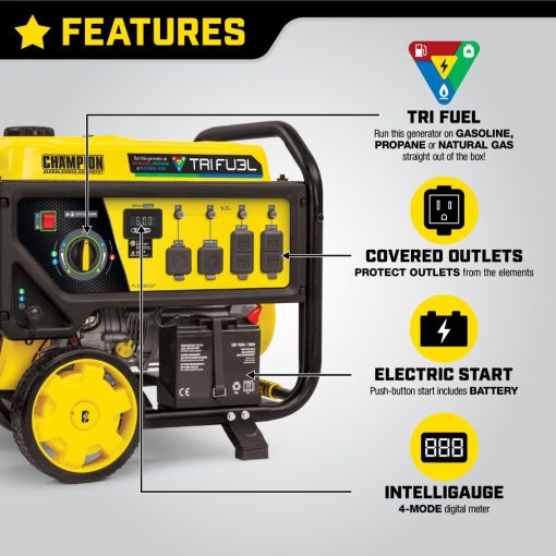 Champion Tri Fuel Portable Natural Gas Generator with CO Shield Electric Start 8000Watt - Image 10