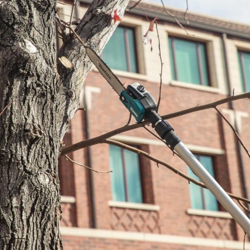 Makita 36V (18V X2) LXT® Telescoping Pole Saw, 10", Brushless, 13' Length, Bare Tool - Image 2