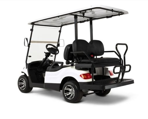 Advanced EV EV1 4 Golf Car Silver - Image 4